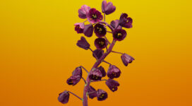 Fritillaria Flower iOS 11 Stock149208515 272x150 - Fritillaria Flower iOS 11 Stock - Stock, iOS, Gloriosa, Fritillaria, flower